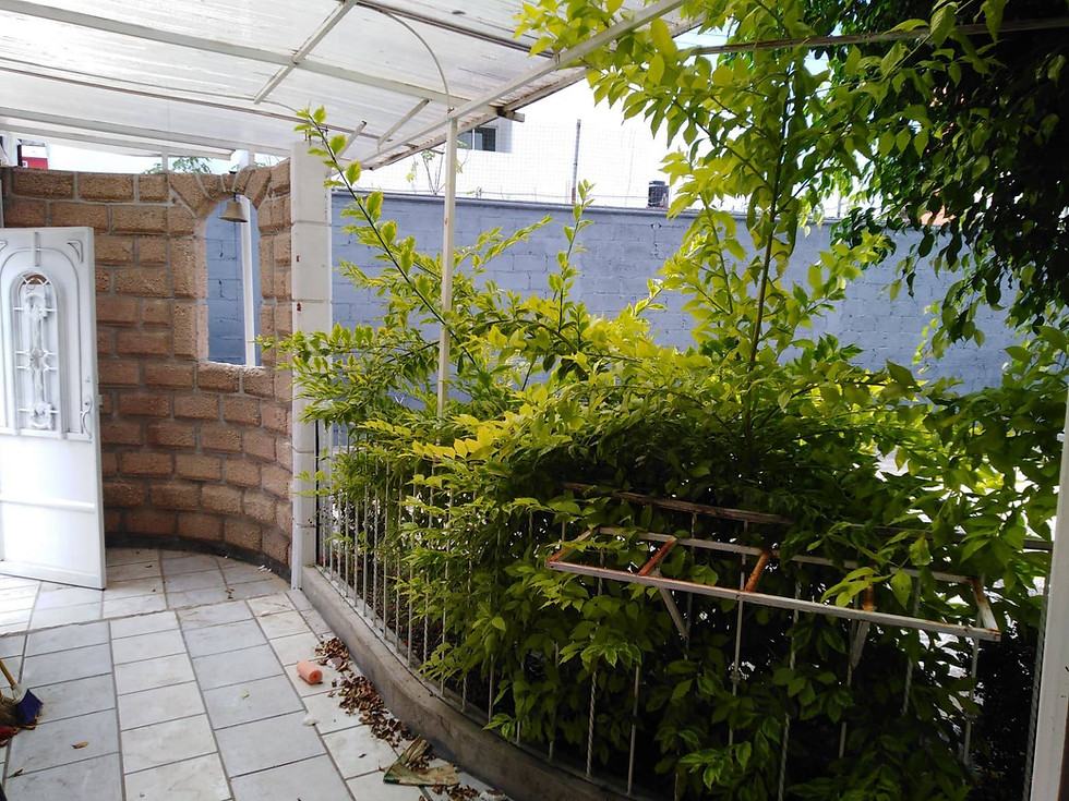 Miniatura: TERRENO/SALÓN DE FIESTA EN COL. CIPRESES DE MAYORAZGO, PUEBLA