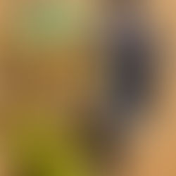 ENDUROCROSS ENTRIES NOW AVAILABLE FOR GLENARM