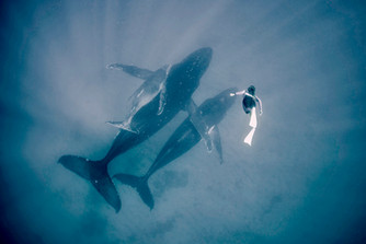 What Lies Beneath