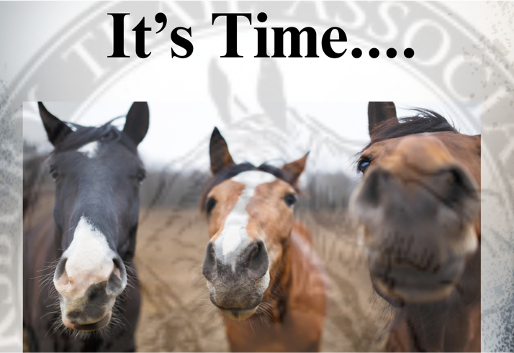 TTA Membership Meeting April10