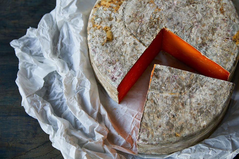 MeltonMobrayRutlandRed_02.jpg