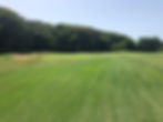IMG_4772.jpeg