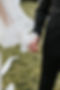 1X5C0330.JPG