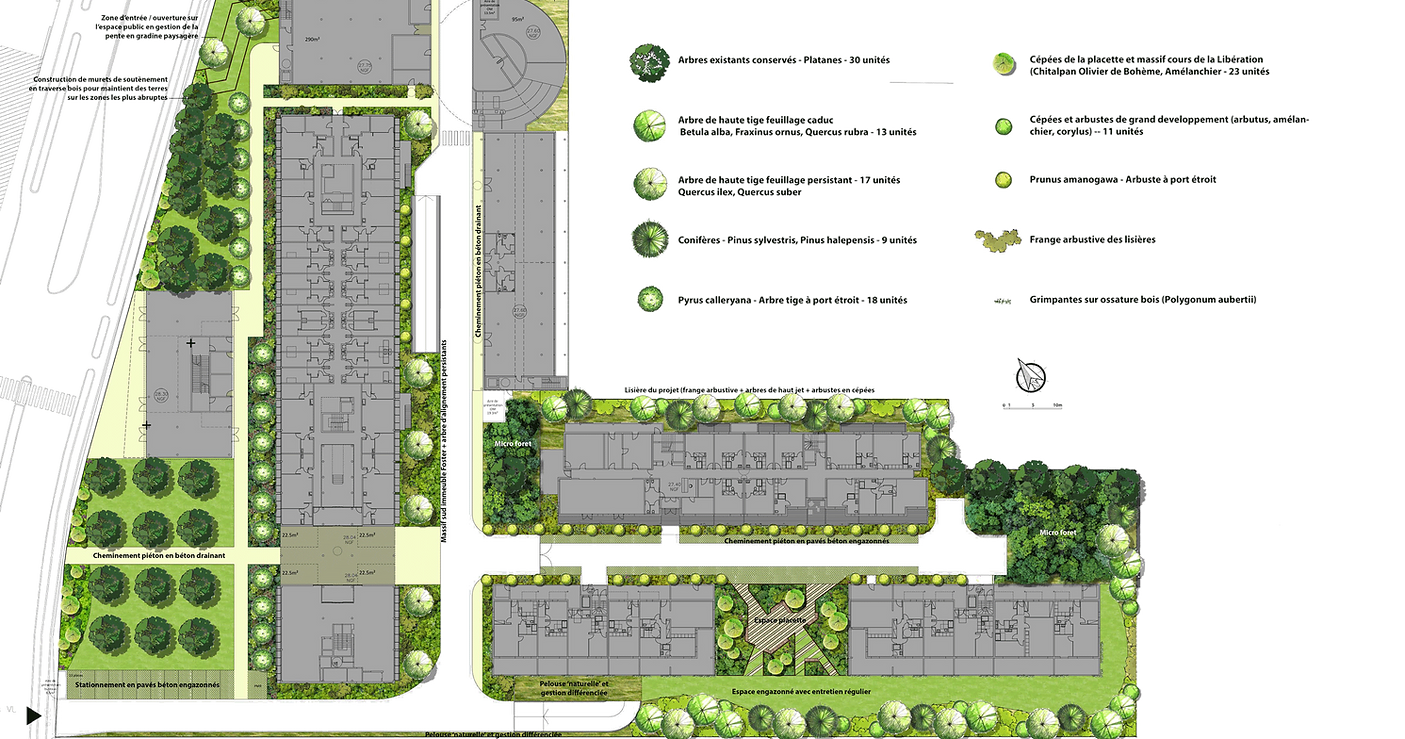 Perspective Central Parc plan de masse