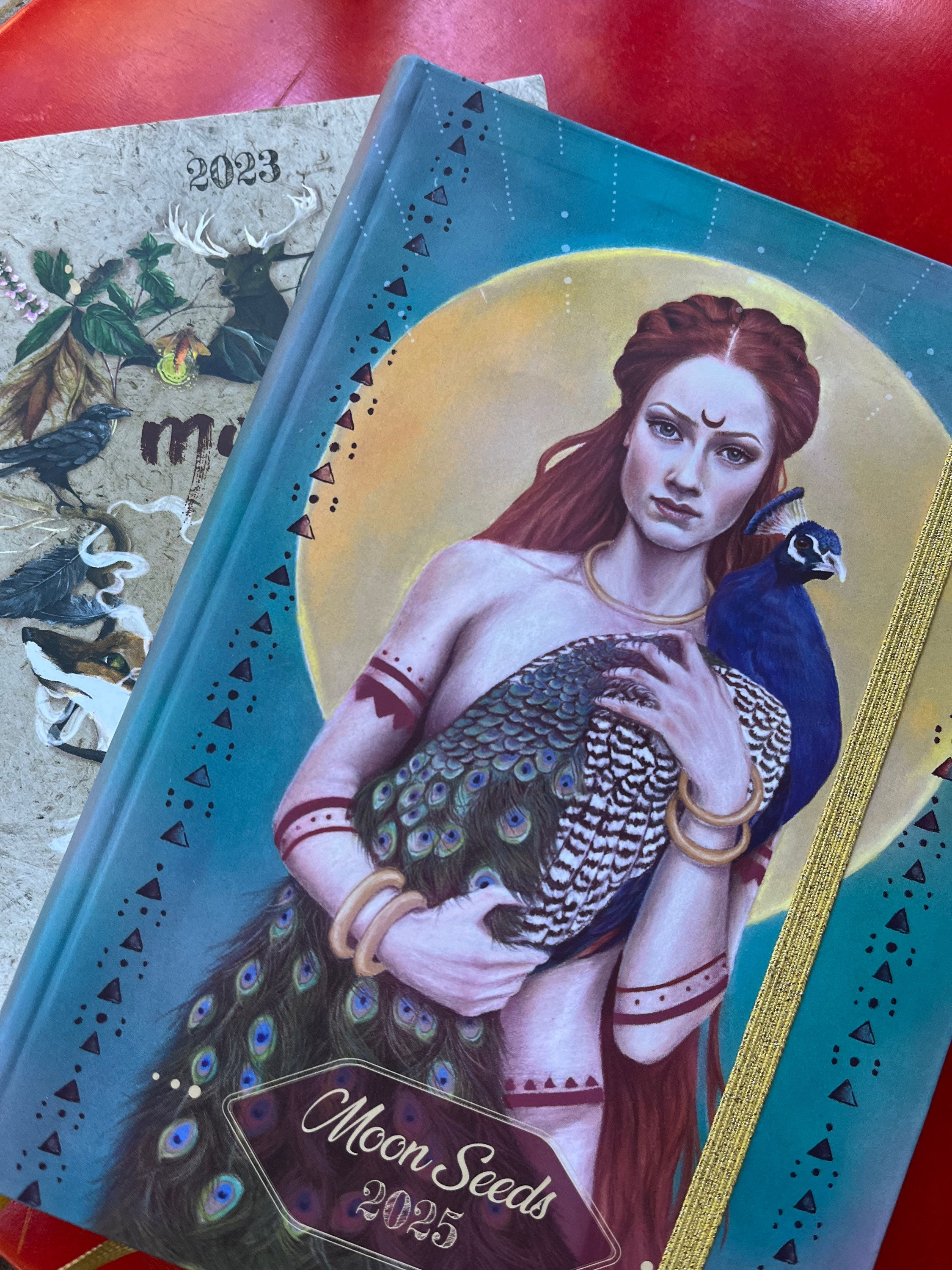 Bundle 2023/2025 USA ONLY