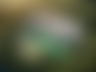 Luxury Properties: Unmatched Expertise in Real Estate Market