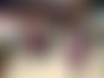 Gradonačelnik Puharić posjetio Diplomatski zimski bazar 2025