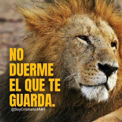 Frases Cristianas de bendición