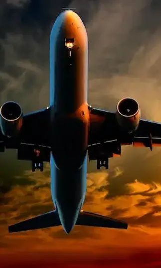 sunset plane. Comex Rimera. Customs Clearance..webp