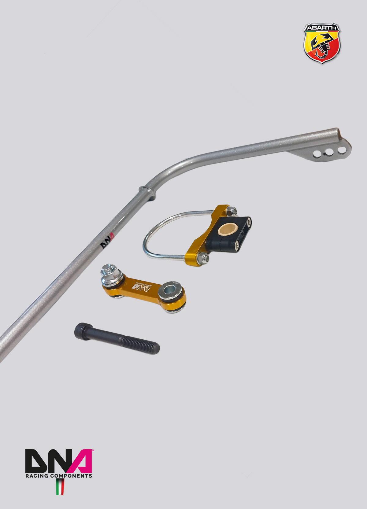 Kit barra antirollio posteriore DNA Racing FIAT 500 Abarth versione US