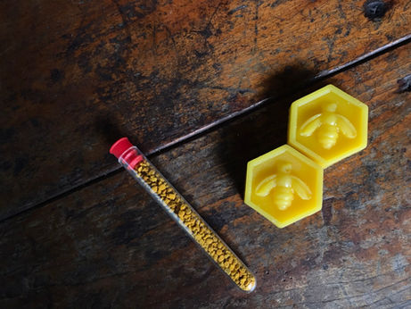 #橫山 台灣在地蜂農-蜜蜂事務所 參訪與體驗