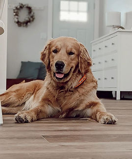 WhatsApp Image 2024-04-01 at 10.54.00_df2ad93e.jpg