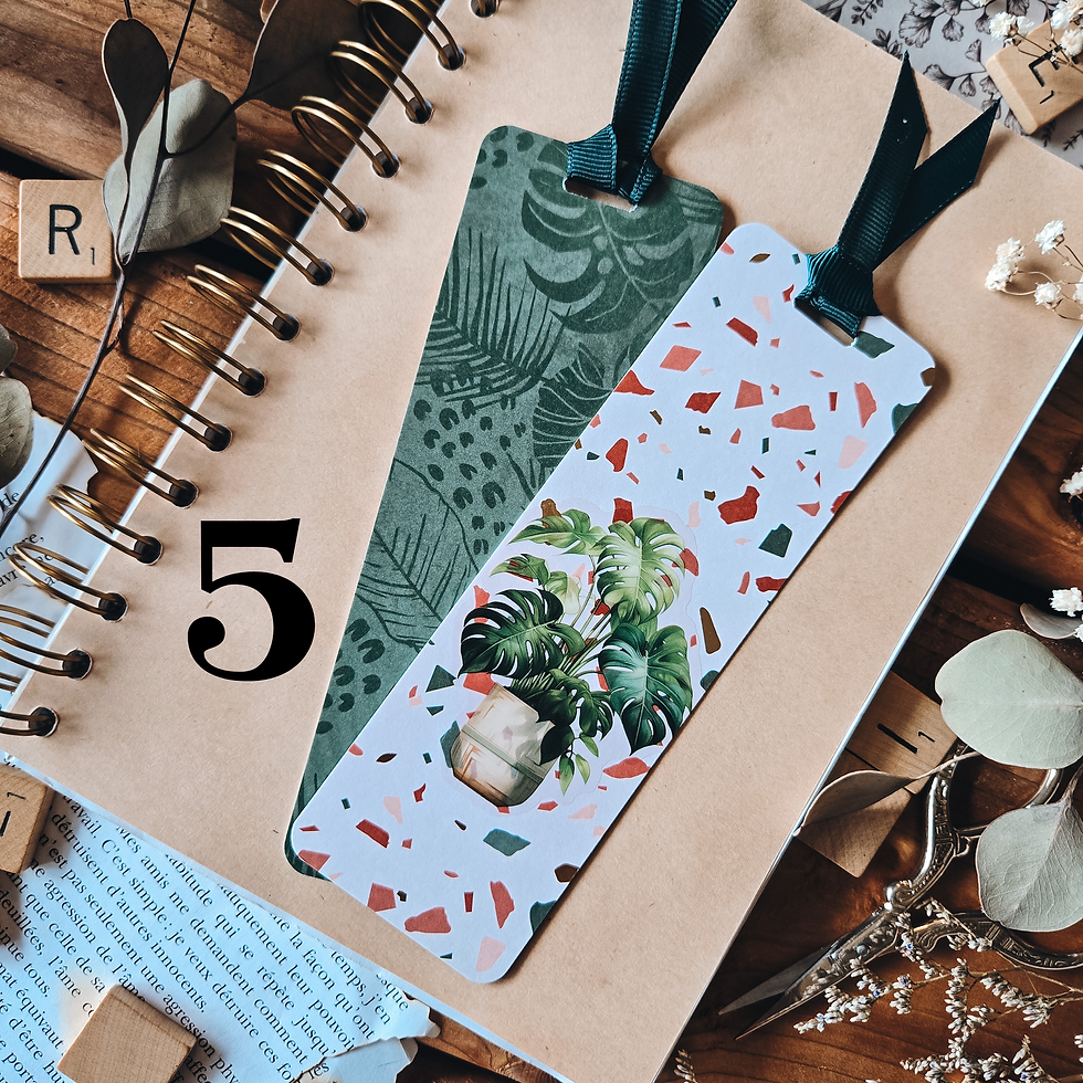 Miniature : Monstera