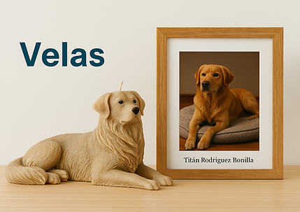 ChatGPT Image 19 jun 2025, 01_17_33 p.m..png