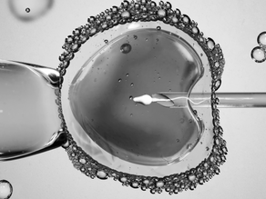 STJ: Plano deve custear congelamento de óvulo a paciente com câncer