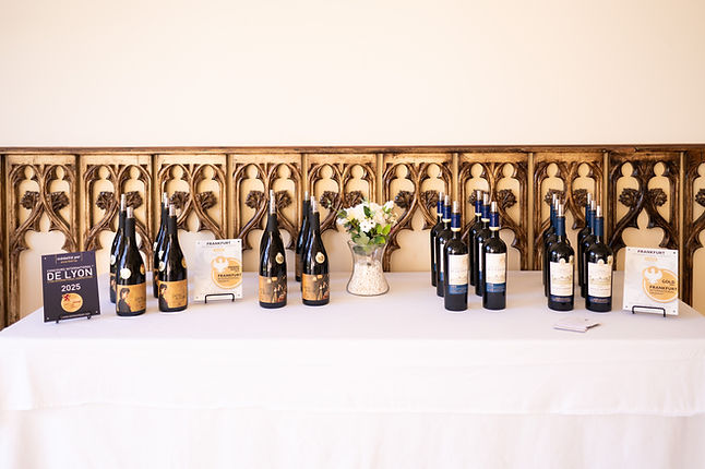 Evénement-Mariage-Château-de-la-Ligne-Avril-2025-Photographe-Marine-Monteils-024-HD.jpg
