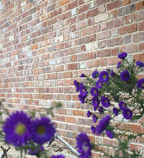 Historic brick wall using reclaimed bricks and lime mortar