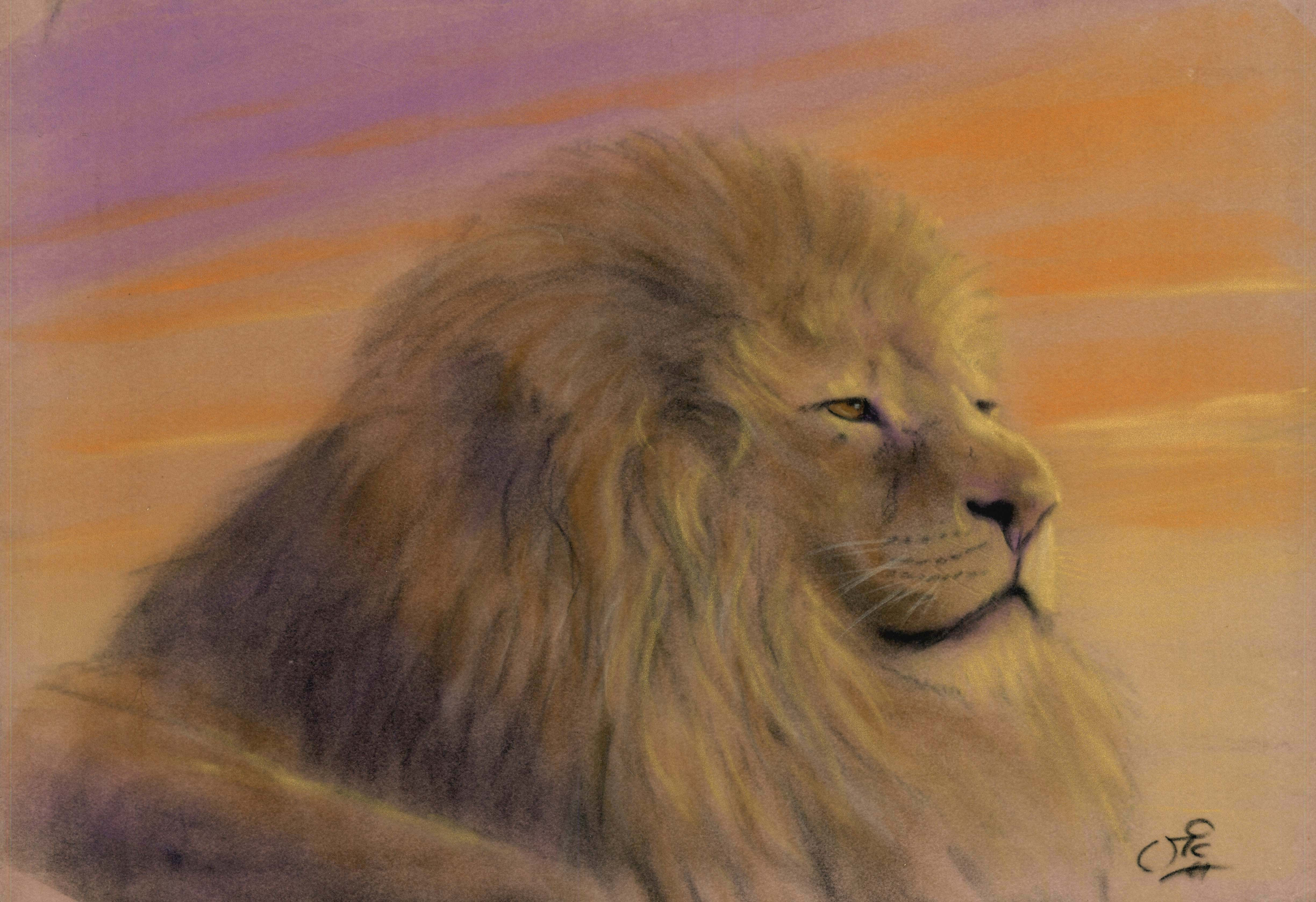 Lion Original Pastel on Velour