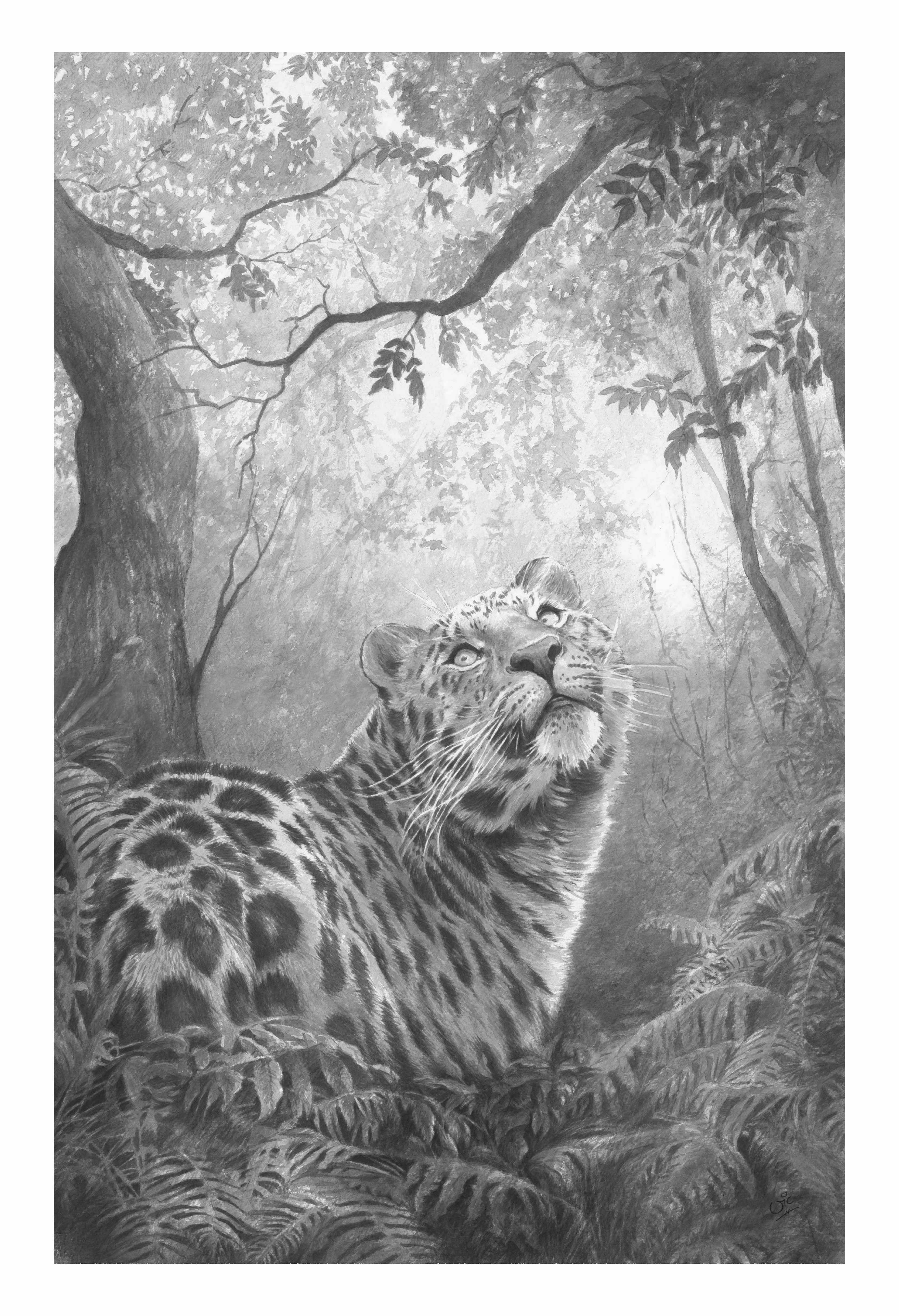'INTO THE WILD' LIMITED EDITION AMUR LEOPARD PRINT