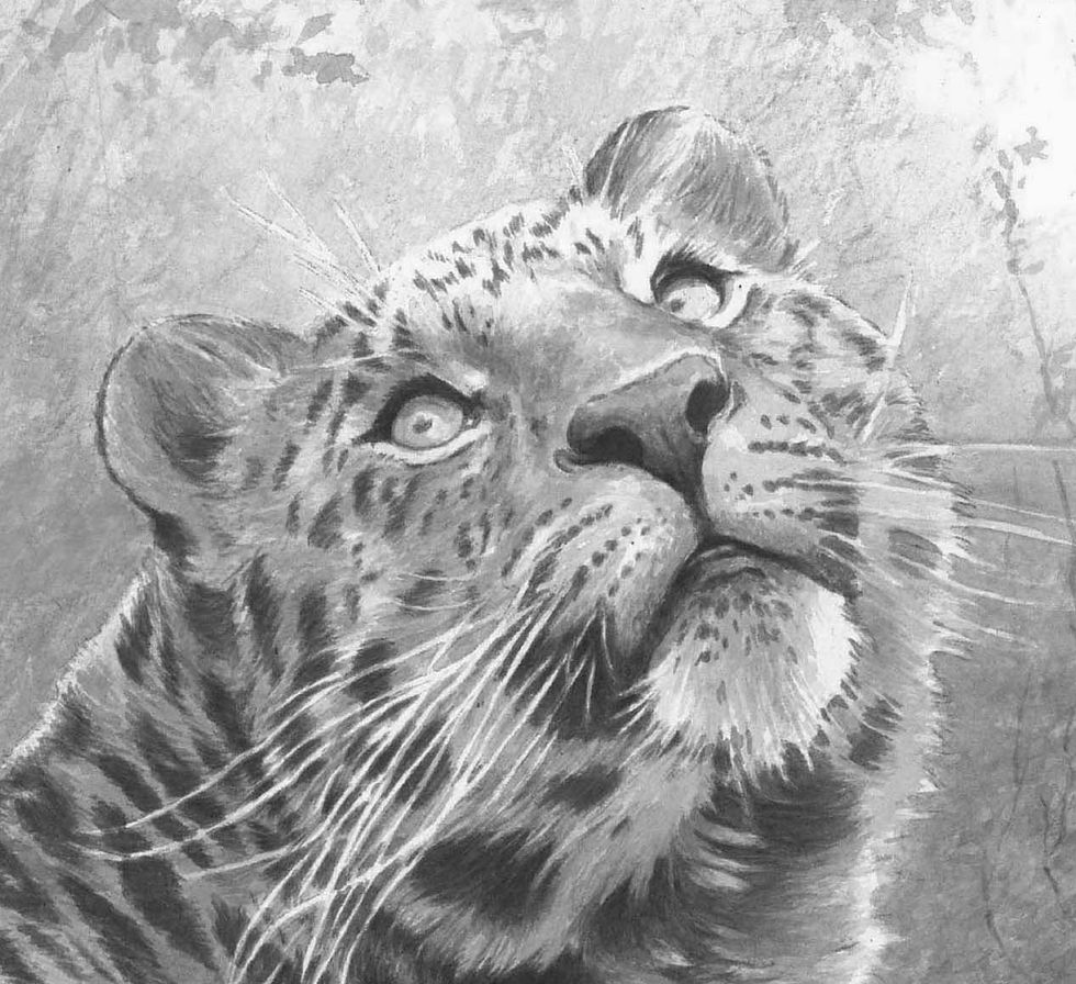 Thumbnail: 'INTO THE WILD' LIMITED EDITION AMUR LEOPARD PRINT