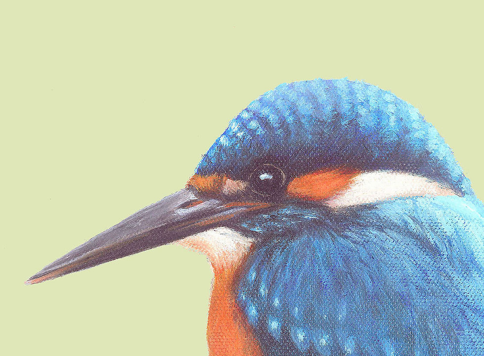 Thumbnail: G'Gone Fishin'' - Open Edition Kingfisher Print