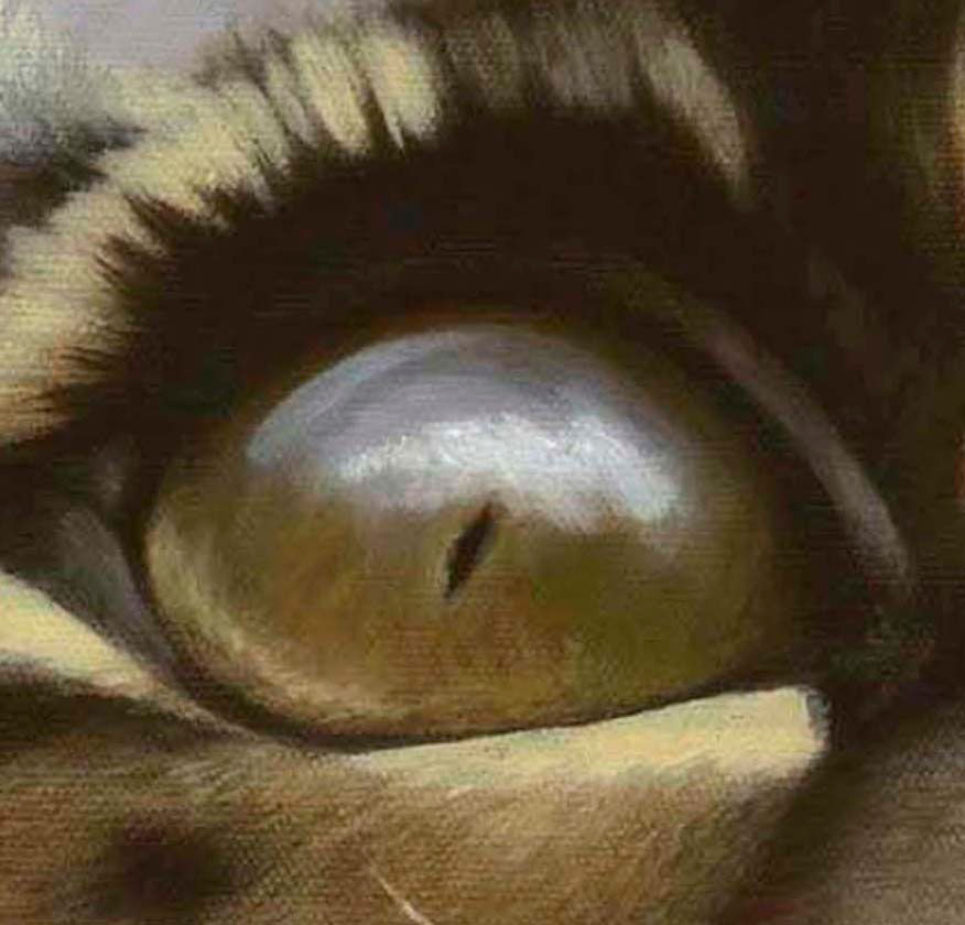 Thumbnail: 'HEAD IN THE CLOUDS' LIMITED EDITION CLOUDED LEOPARD PRINT