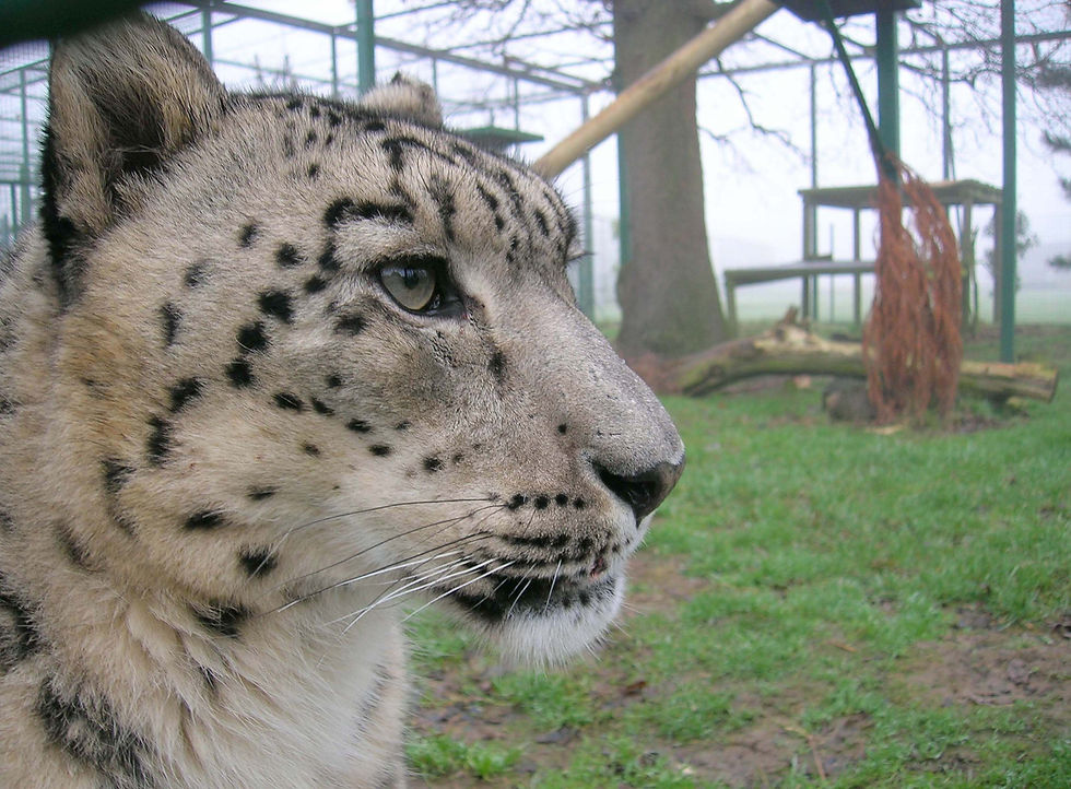 Thumbnail: Artist's Photograph Reference Book