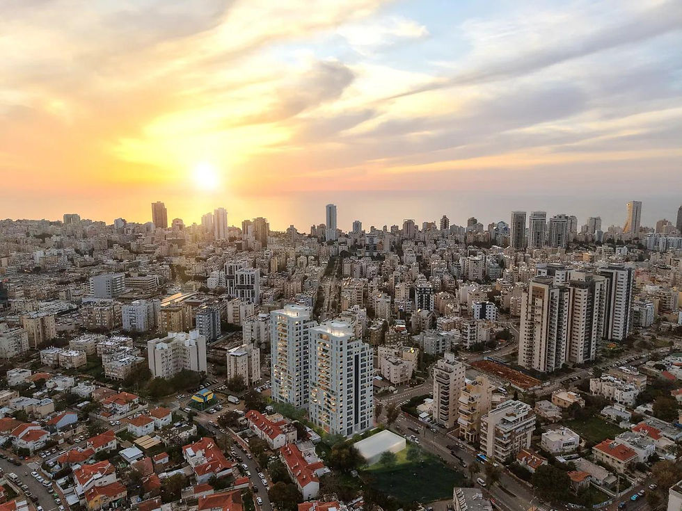 הדמיה 02.jpg