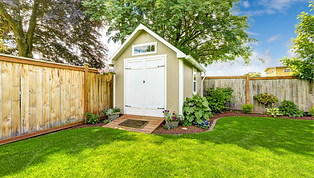 Photo of a manicured backyard featuring green grass, enclosed by a wooden fence, with a new shed and wooden ramp.