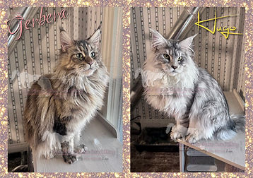 eZy Watermark_18-03-2025_11-29-02-8160AM.jpg