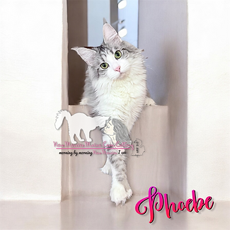 eZy Watermark_16-04-2026_09-03-01-7780AM.png