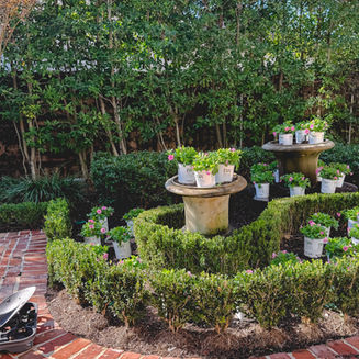 🌼 Transitioning Your Yard from Summer to Fall