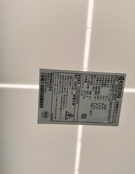 WhatsApp Image 2024-11-20 at 16.42.07 (1).jpeg