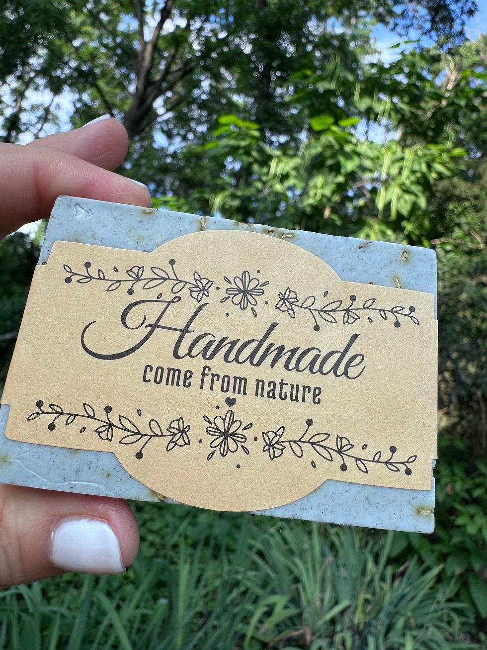 Thumbnail: Jiu-Jitsu Bar