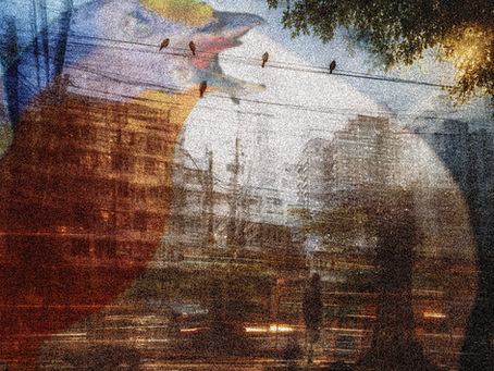 Imagem abstrata de uma cidade com sobreposições de imagens de pessoas, cachorros e pássaros ilustrando uma poesia.