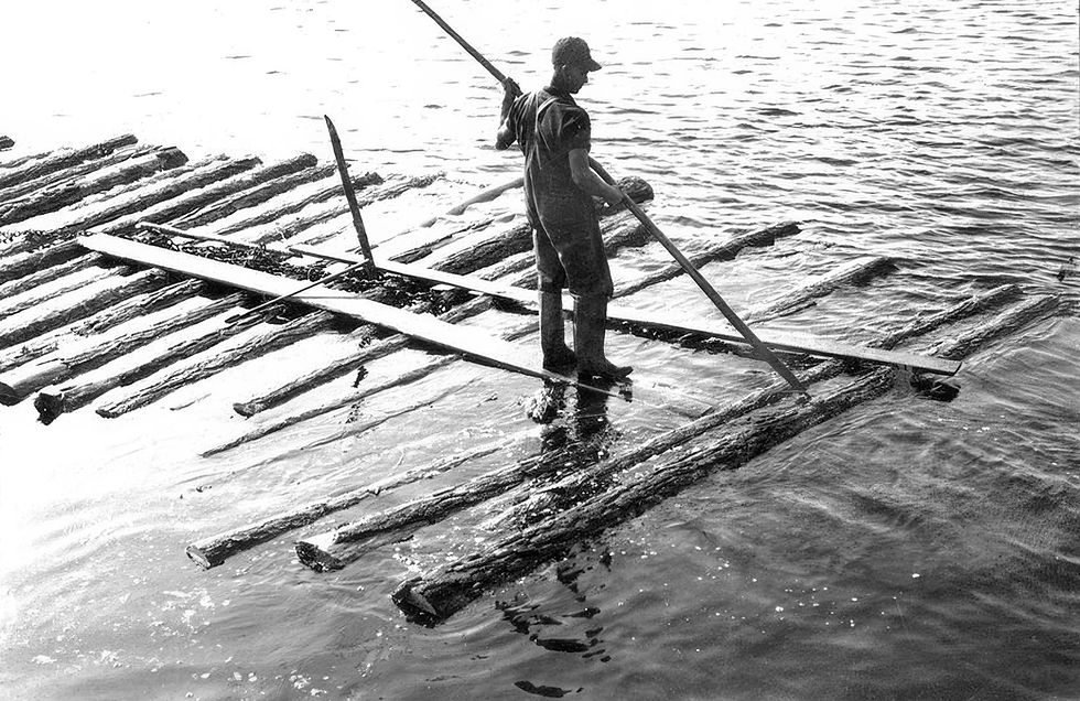 Timber Town: Washington & the Lumber Trade