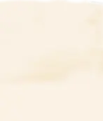 BG_Texture.webp