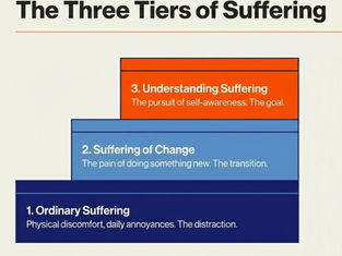 understanding suffering