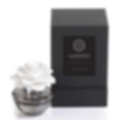 Illuminaria Porcelain Diffuser