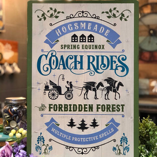 Coach Rides