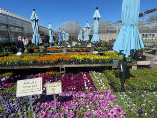 IMG_7270.JPEG