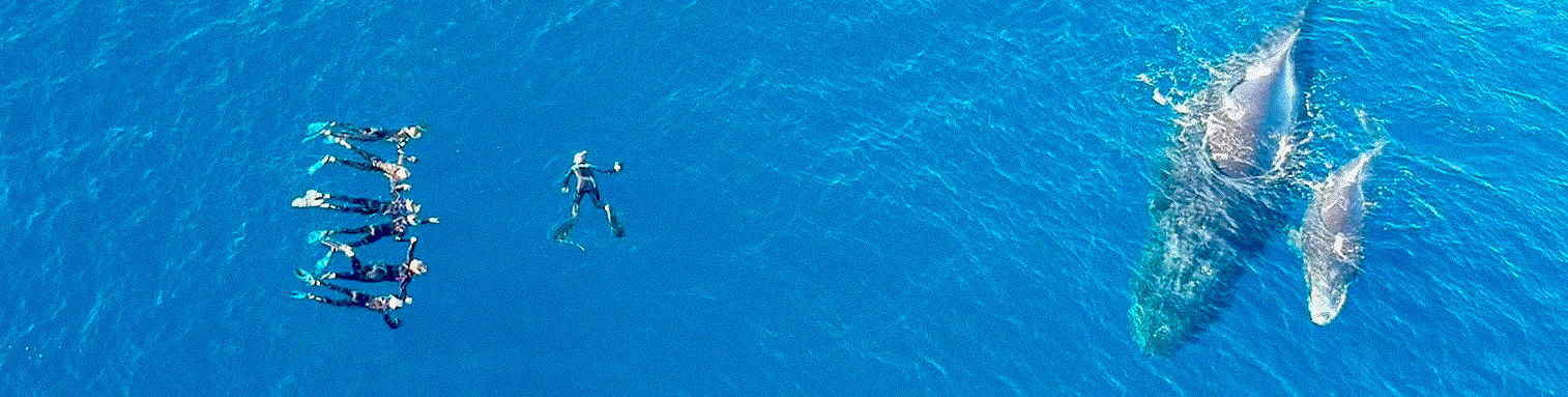 vlcsnap-2018-12-02-12h54m38s543_edited_e