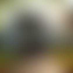 Top Las Vegas Junk Removal Services You Can Trust