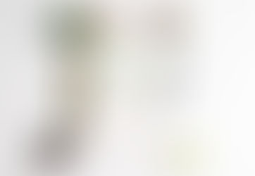 Emily Ley's Simplified Planner - OBSESSED!