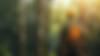 anthonny_digistep_05060_banner_for_tree_service_--ar_169_--v__1ced64d0-c542-4cc4-a7f4-89d2