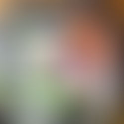 LE pot au feu de Bernard Loiseau