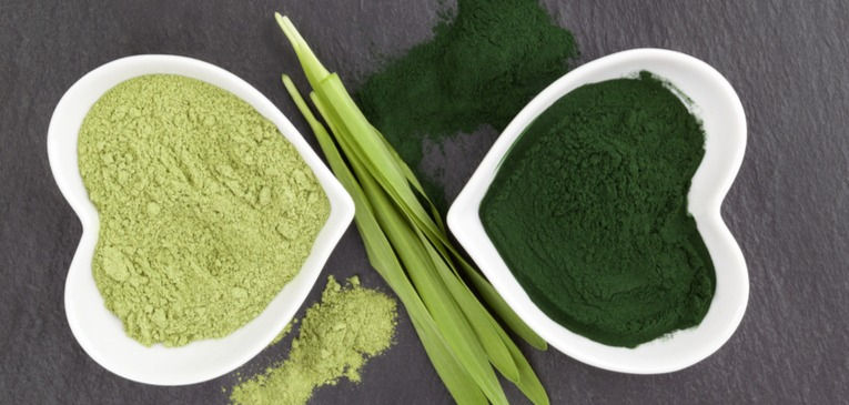 Diferenças entre Spirulina e Chlorella