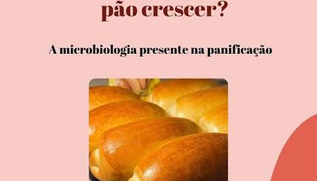 Como o fermento faz o pão crescer? A microbiologia por trás da fermentação 