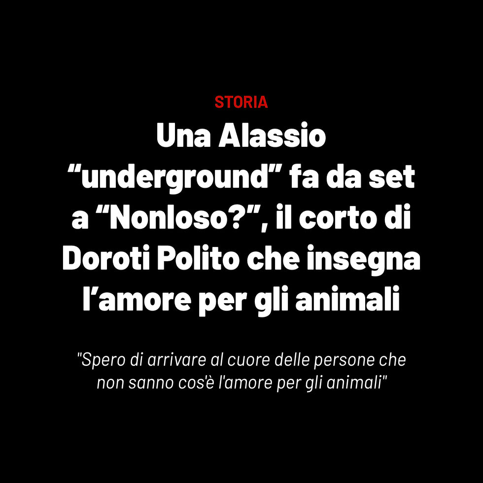 dog film festival Doroti Polito dottravelpic