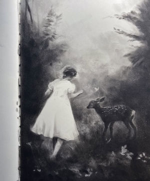 473816045_17953893491907642_3657501469904795084_n